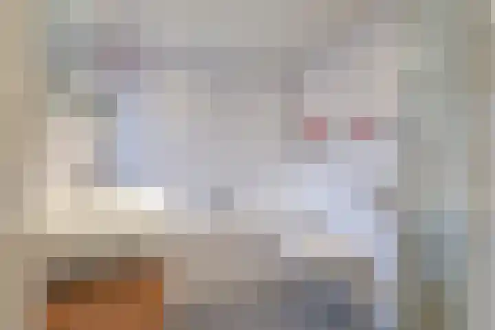 Bellefleur 7 Zetten thumbnail 6