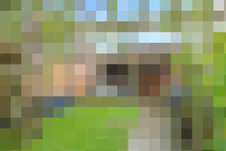 Bellefleur 7 Zetten thumbnail 60