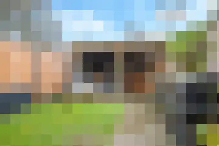 Bellefleur 7 Zetten thumbnail 61