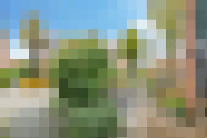 Bellefleur 7 Zetten thumbnail 71