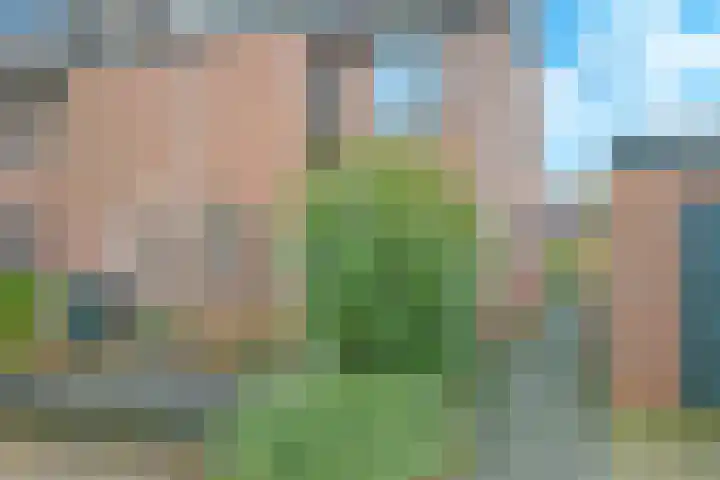 Bellefleur 7 Zetten thumbnail 73