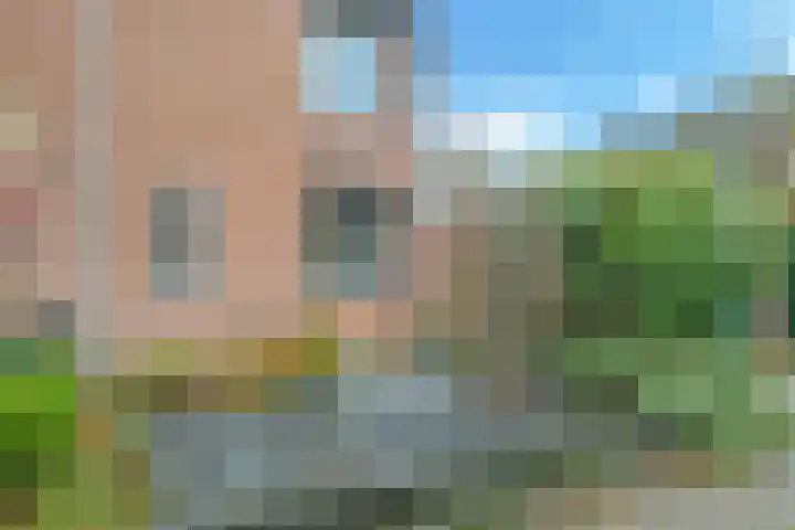 Bellefleur 7 Zetten thumbnail 74
