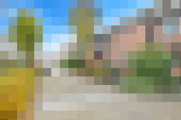 Bellefleur 7 Zetten thumbnail 76