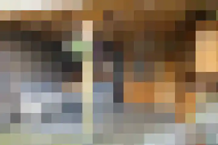 Bellefleur 7 Zetten thumbnail 8