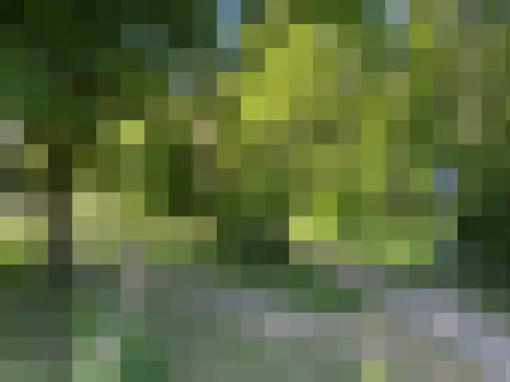 Bellefleur 7 Zetten thumbnail 81