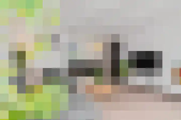 Bellefleur 76 Zetten thumbnail 11