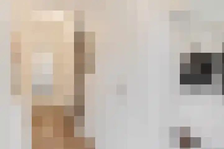 Bellefleur 76 Zetten thumbnail 18