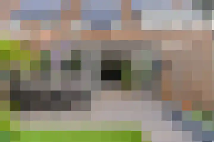 Bellefleur 76 Zetten thumbnail 35