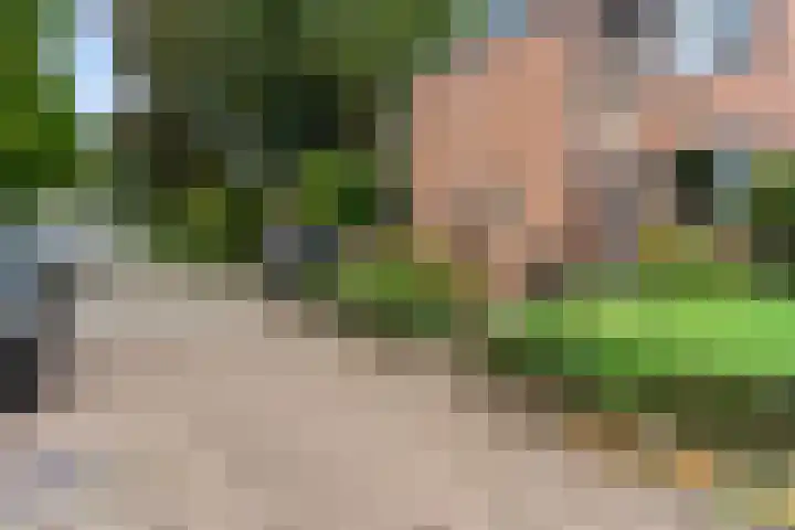 Bellefleur 76 Zetten thumbnail 39