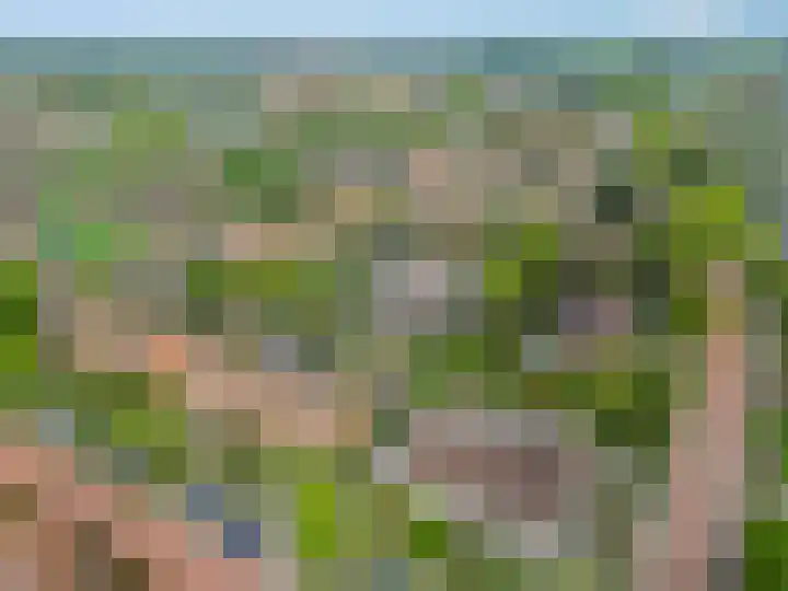 Bellefleur 76 Zetten thumbnail 4
