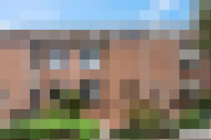 Bellefleur 76 Zetten thumbnail 40