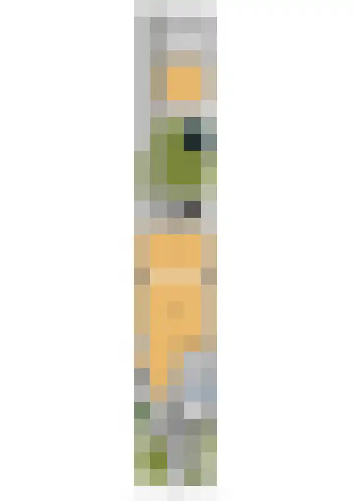 Bellefleur 76 Zetten thumbnail 45