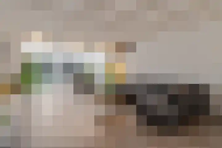 Bellefleur 76 Zetten thumbnail 6