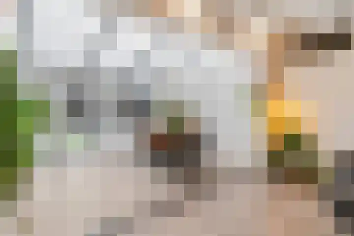 Bellefleur 76 Zetten thumbnail 8