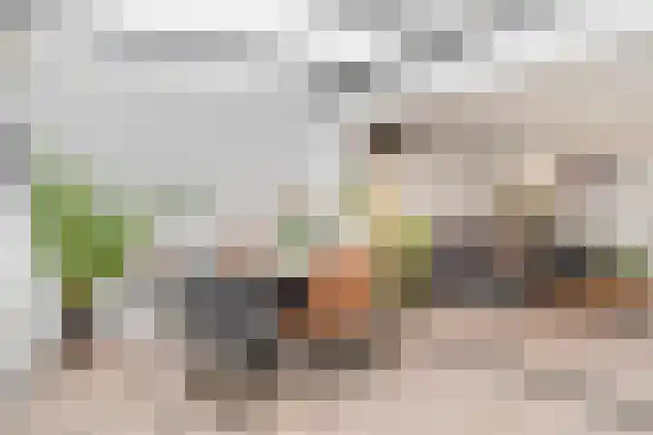 Bellefleur 76 Zetten thumbnail 9