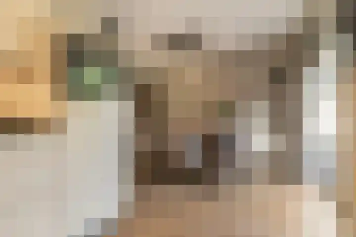 Bellefleur 99 Duiven thumbnail 12