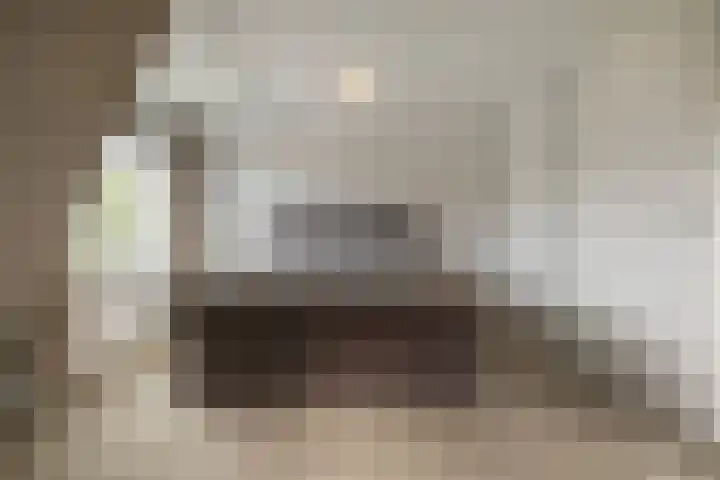 Bellefleur 99 Duiven thumbnail 15