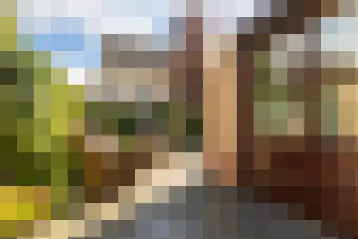 Bellefleur 99 Duiven thumbnail 25