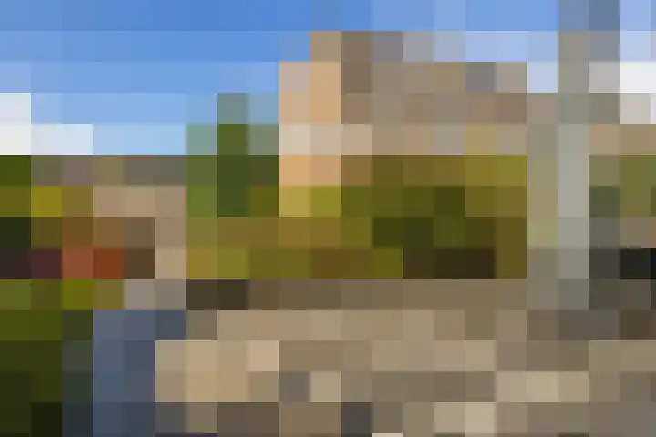 Bellefleur 99 Duiven thumbnail 30