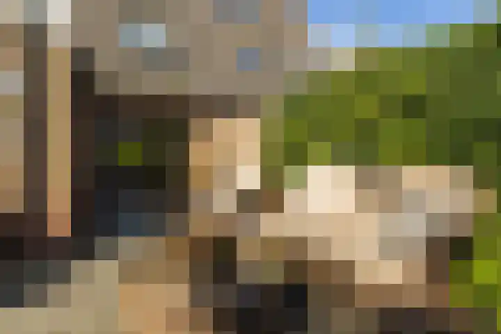 Bellefleur 99 Duiven thumbnail 32