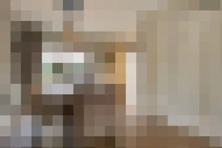 Bellefleur 99 Duiven thumbnail 9
