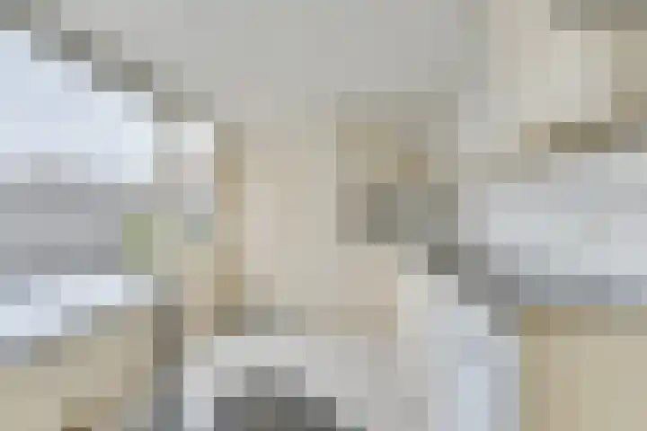 Bellesloot 9 De Rijp thumbnail 12
