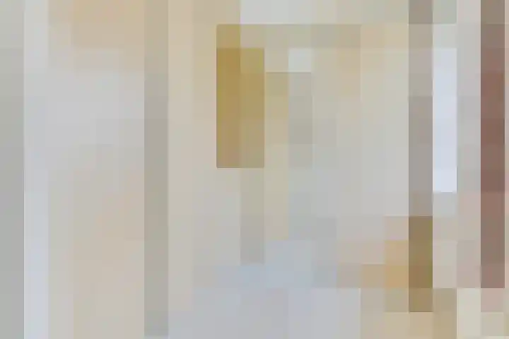 Bellesloot 9 De Rijp thumbnail 23