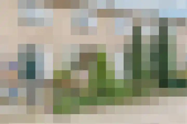 Bellesloot 9 De Rijp foto 3