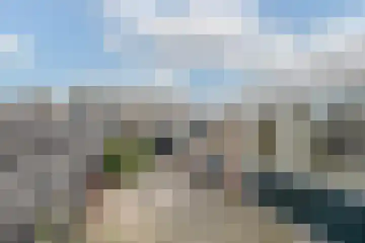 Bellesloot 9 De Rijp thumbnail 37
