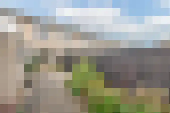 Bellesloot 9 De Rijp thumbnail 39