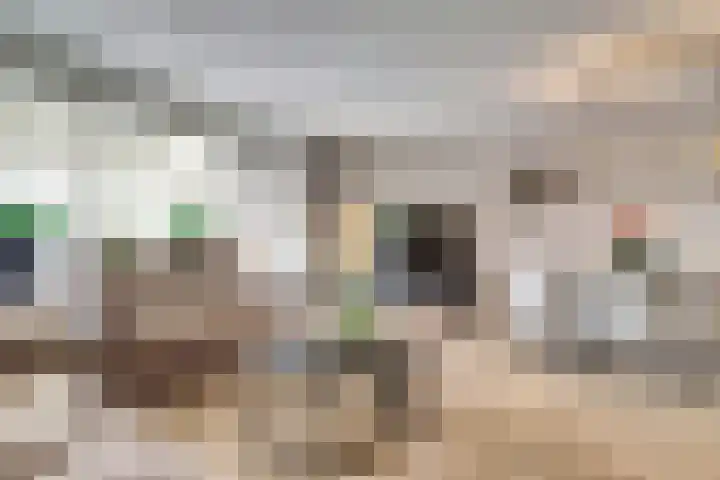 Bellestein 13 Ede thumbnail 6