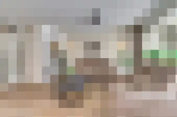 Bellestein 13 Ede thumbnail 7