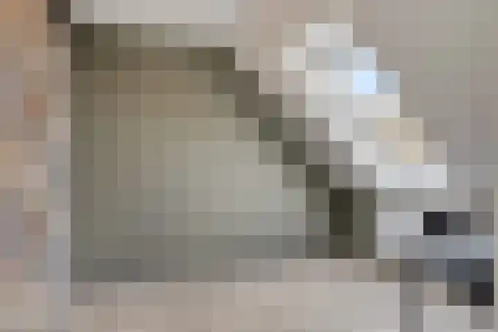 Bellestein 171 Ede thumbnail 25
