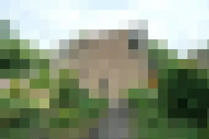 Bellevue 7 Renkum thumbnail 20