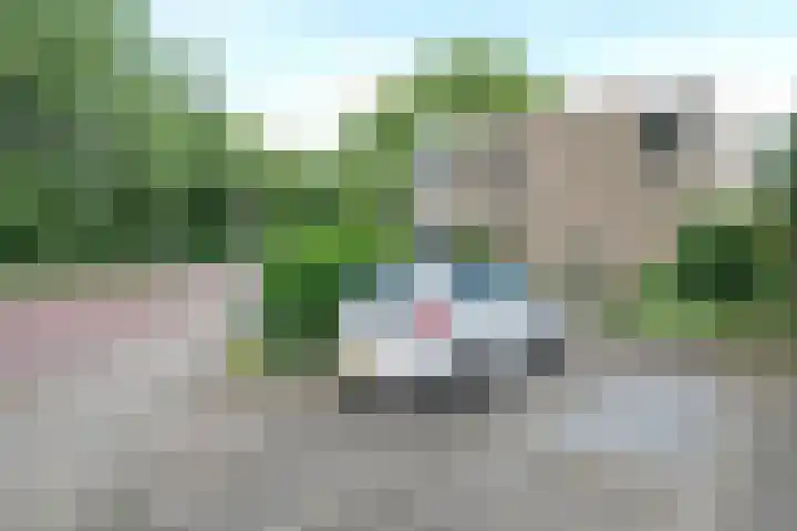 Bellevue 7 Renkum thumbnail 23