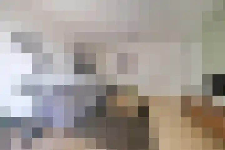 Bellevue 7 Renkum thumbnail 4