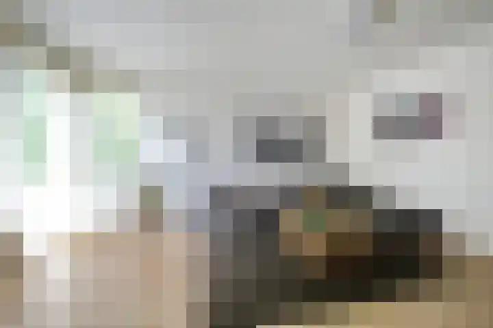 Bellevue 7 Renkum thumbnail 5