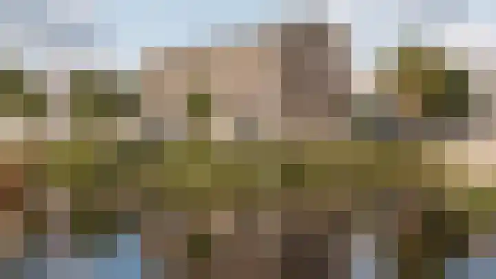 Beloop 2 Zeewolde