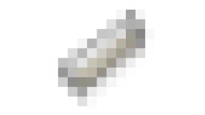 Team foto van Beltman Makelaars Berkelland B.V.