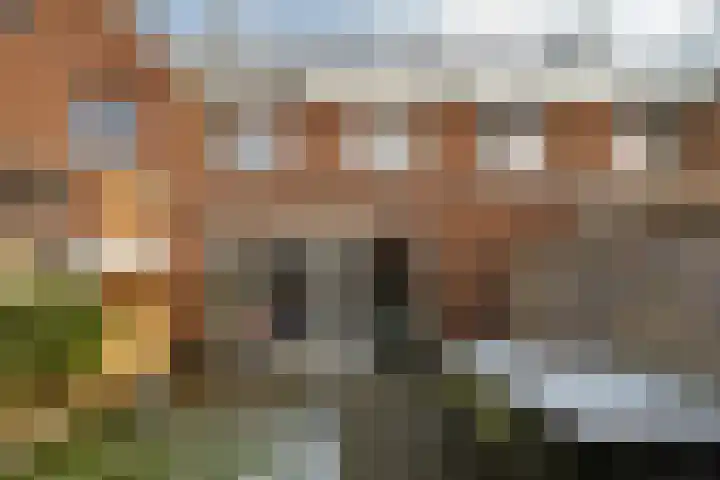 Beltmolen 109 Nunspeet thumbnail 6