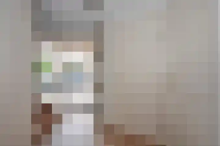 Beltmolen 24 de Lutte thumbnail 10