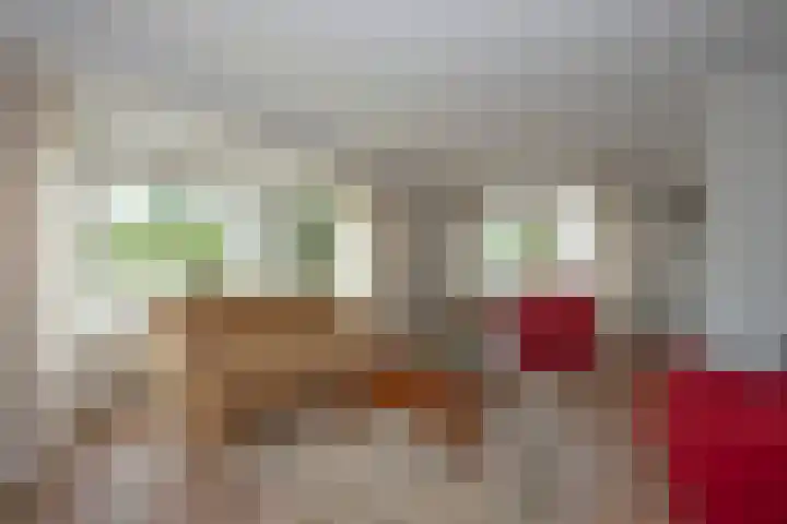 Beltmolen 24 de Lutte thumbnail 13