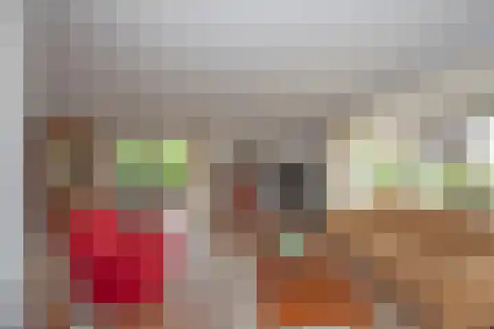 Beltmolen 24 de Lutte thumbnail 14
