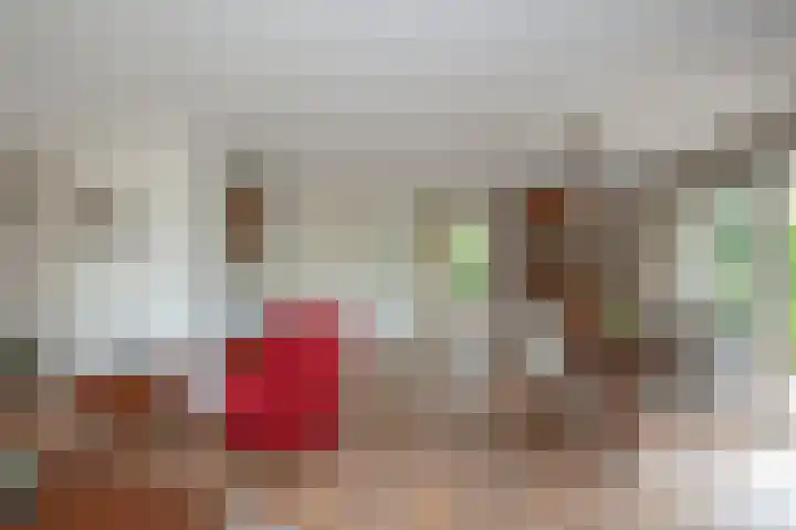 Beltmolen 24 de Lutte thumbnail 15