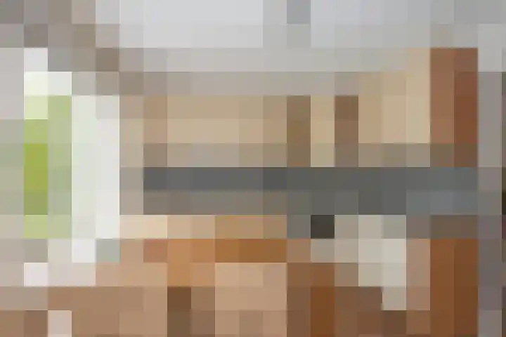 Beltmolen 24 de Lutte thumbnail 16