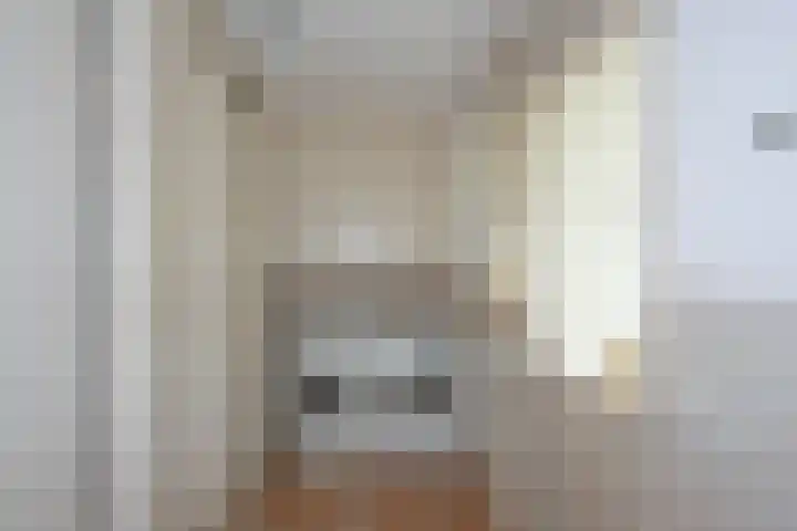 Beltmolen 24 de Lutte thumbnail 17