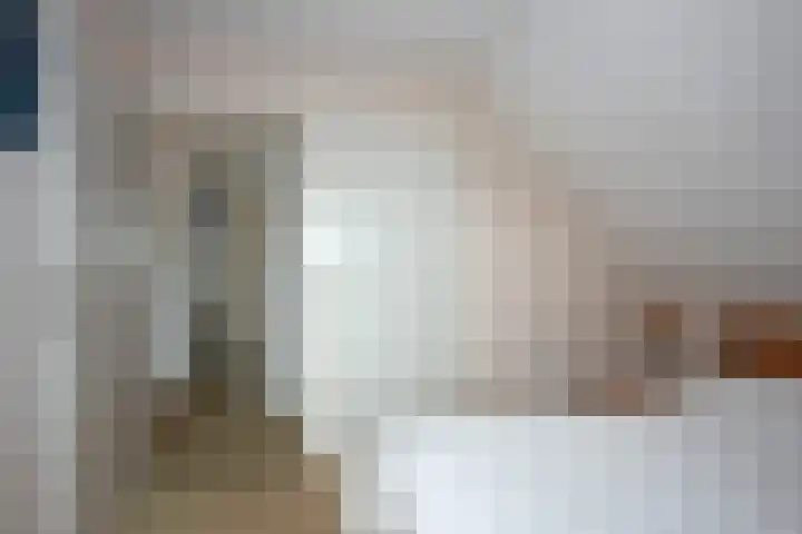 Beltmolen 24 de Lutte thumbnail 27