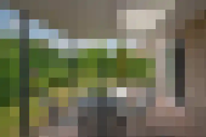 Beltmolen 24 de Lutte thumbnail 29