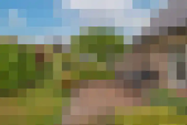 Beltmolen 24 de Lutte thumbnail 32