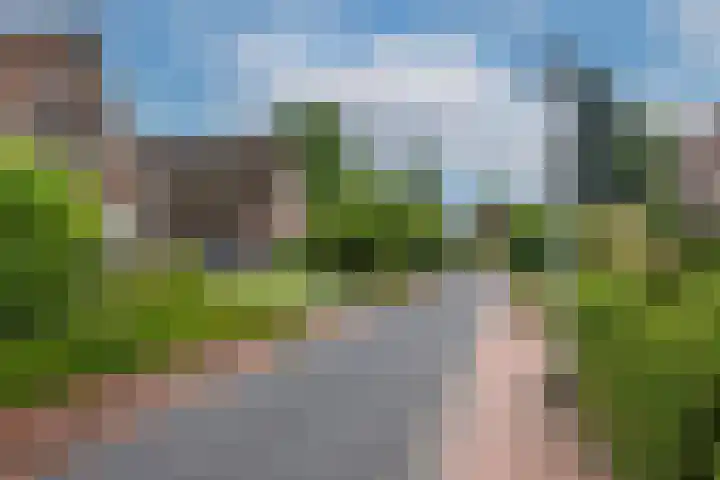 Beltmolen 24 de Lutte thumbnail 33